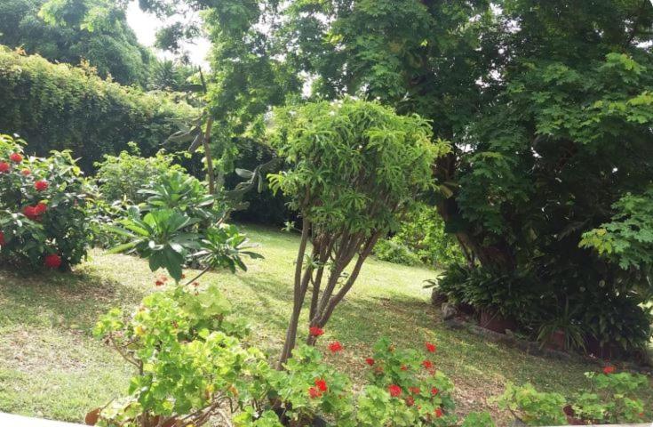 تمارين Comfy Home-Tropical Garden & 5 Min Walk To Beach المظهر الخارجي الصورة