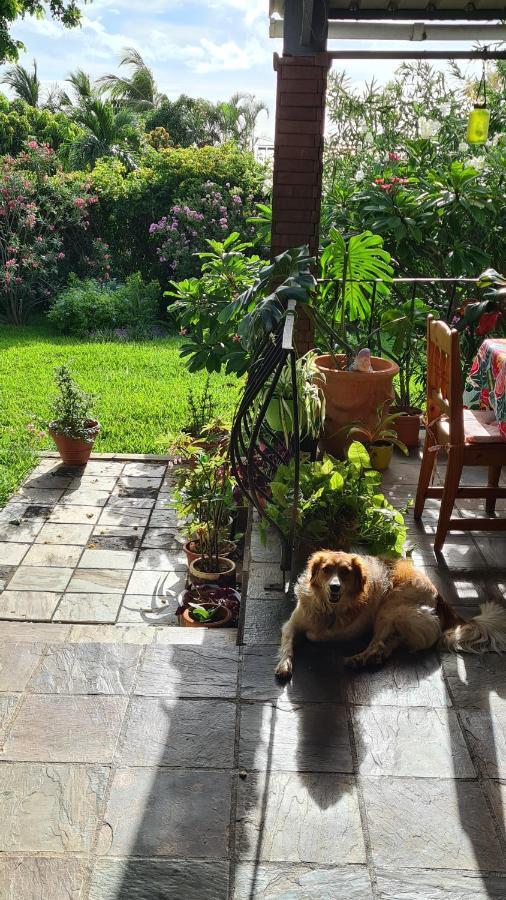 تمارين Comfy Home-Tropical Garden & 5 Min Walk To Beach المظهر الخارجي الصورة