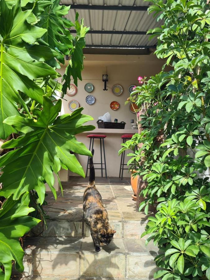 تمارين Comfy Home-Tropical Garden & 5 Min Walk To Beach المظهر الخارجي الصورة